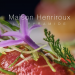 La Pyramide Relais & Chateaux 