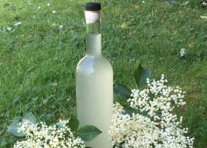Vin de fleur de sureau