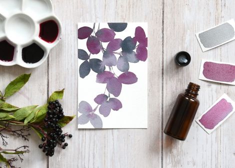 encre_baies_sureau ©mirglis encre_baies_sureau ©mirglis