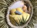 Gite Bonaty chambre Nature