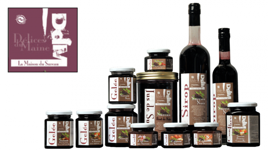 1ere charte graphique de a Maison du sureau