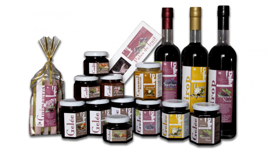 2e charte graphique de la Maison du sureau