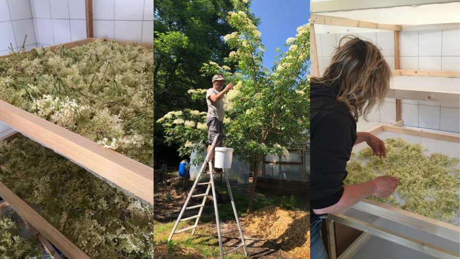 Le séchoir de la Maison du sureau