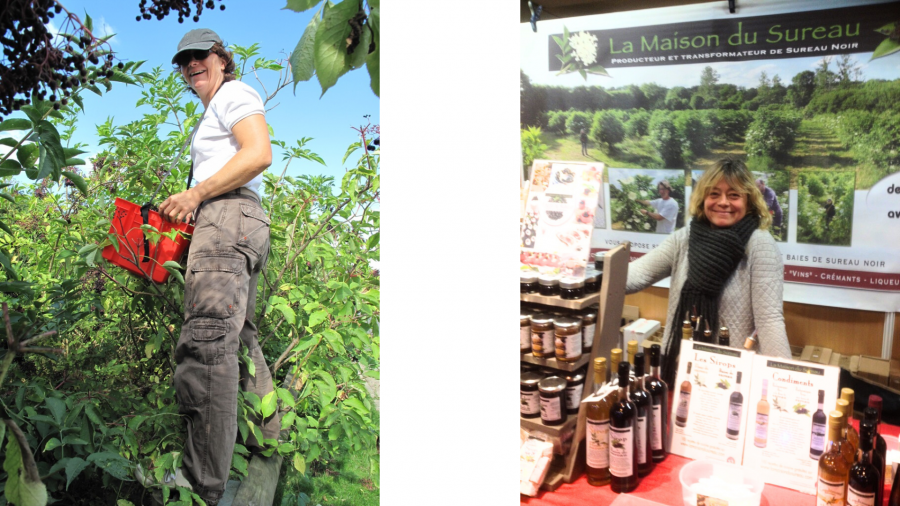 Natie rejoint la Maison du sureau