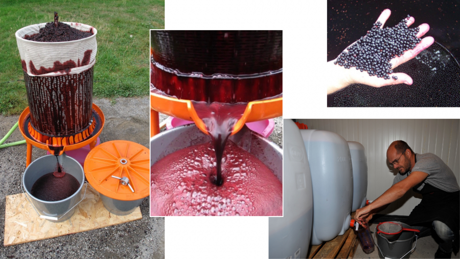 Pressoir hydraulique Speidel de la Maison du sureau