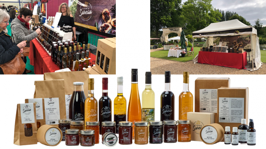 Sureau, le retour dans les salons